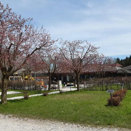 Campingfass Almtal * Scharnstein