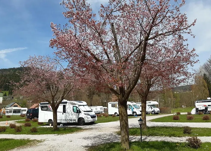 Οργανωμένο κάμπινγκ Campingfass Almtal Scharnstein